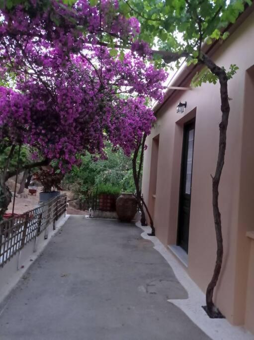 Villa Lidi Stavros  Extérieur photo