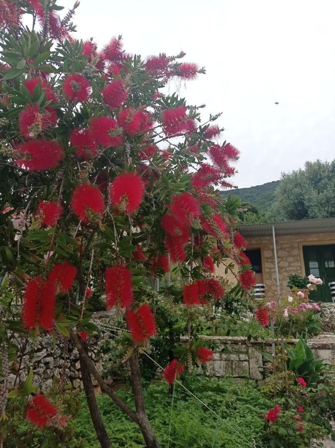 Villa Lidi Stavros  Extérieur photo