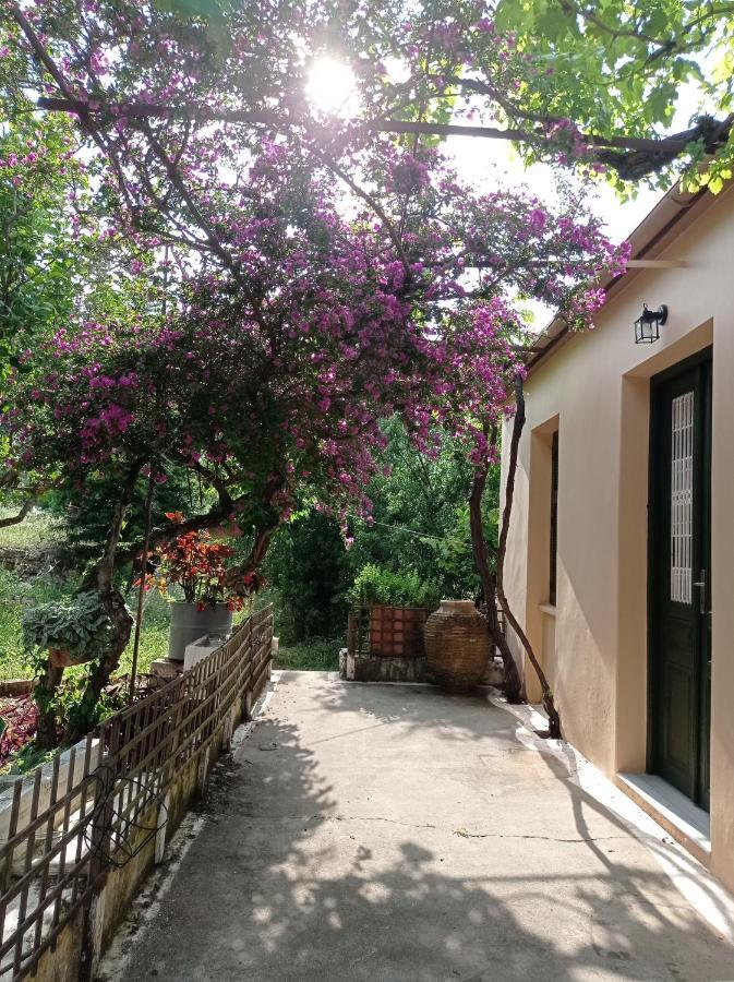 Villa Lidi Stavros  Extérieur photo