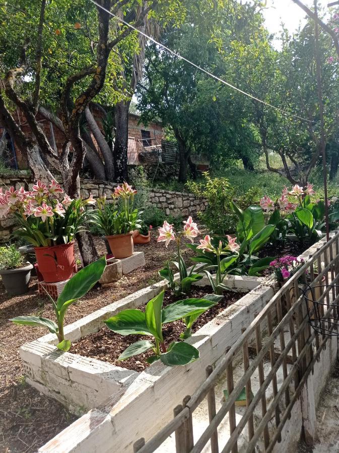 Villa Lidi Stavros  Extérieur photo